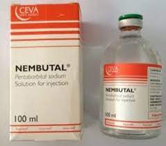What is Nembutal Pentobarbital used for 